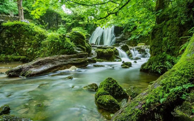 科技高效独特